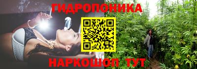 дмт Краснознаменск