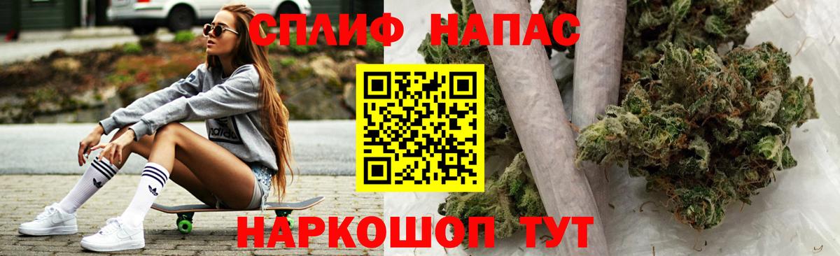 Каннабис план Камышлов
